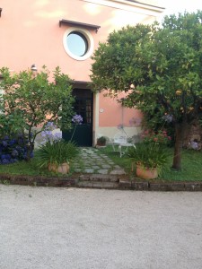 ingresso Donna Carolina